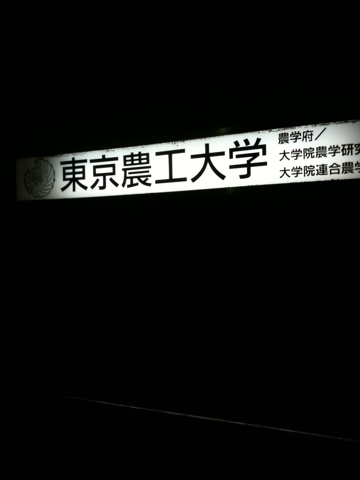 20110102-091351.jpg
