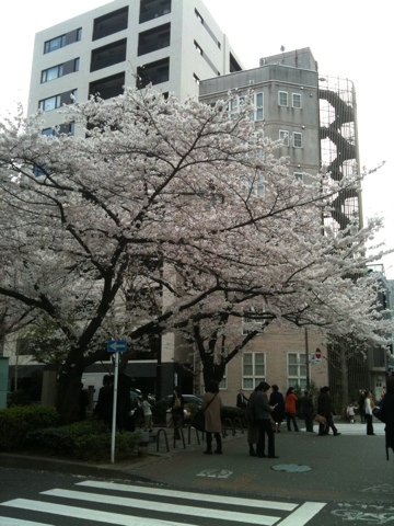 20110408-012607.jpg