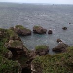 20111018-063624.jpg