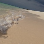 DSC00197
