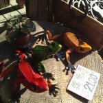20120123-022732.jpg
