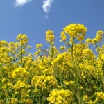 20120413-010954.jpg